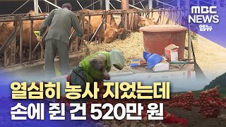 최저임금 석 달 치도 안 되는 농업소득(2023.10.29/뉴스데스크/MBC경남)