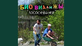 Шоу Шимпанзе