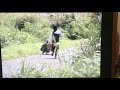 夕焼けとんび   カバー 唄:美里 胡往(みさと こう)