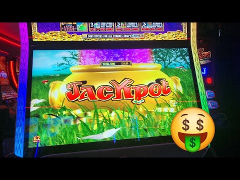 Le Bandit: Geniet van bonusaanbiedingen bij online casino spelen in Nederland