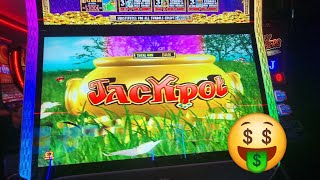 Download Lagu What a slot sesh rainbow riches pots golden winner untamed africa \u0026 more £500 £100 jackpots MP3 Download Lagu What a slot sesh rainbow riches pots golden winner untamed africa \u0026 more £500 £100 jackpots MP3