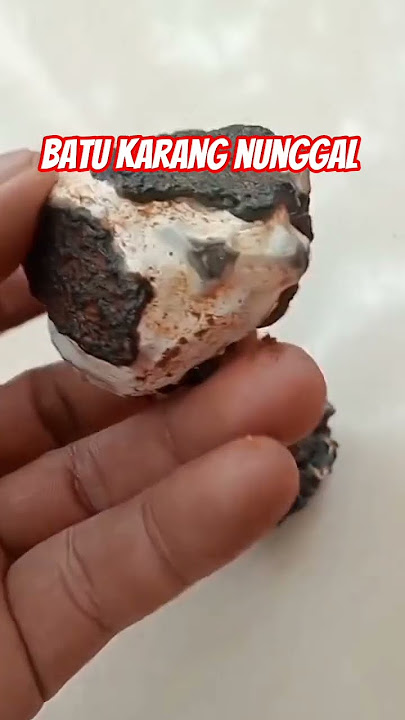 rough karang Nunggal,bahan akik karang Nunggal #karangnunggal #akikkarangnunggal #shortvideo #shorts