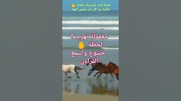 #خشوع #تلاوة #قراءن #سورة_البقرة #ماهر_المعيقلي #اكسبلور #تريند #تيك_توك #لايك