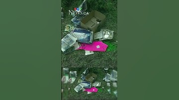 Closing arguments heard in Misha Pavelick murder trial