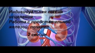 02.10.2019 Индивидуальная сессия исцеления Работа с предстательной железой 2 сессия