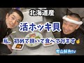 【魚動画】【活ホッキ貝】【北海道産ホッキ貝】活ホッキ貝を捌いて食べる