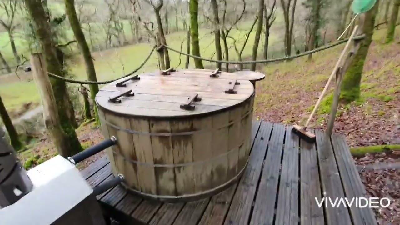 The Living Room Tree House Wales February 2022