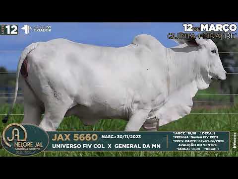LOTE 12   JAX 5660