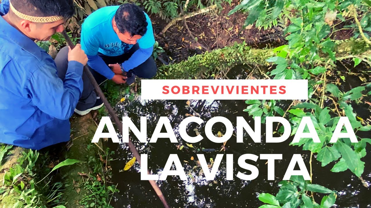 COMO SOBREVIVIR A LA SELVA AMAZÓNICA PARTE 2 - YouTube