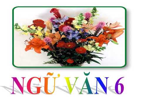 Ngữ văn 6: Tập làm thơ 4 chữ và 5 chữ - youtube