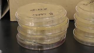 Madison County has a confirmed COVID-19 case