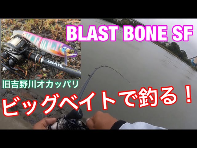 バス釣り】ビッグベイトで釣る！【オカッパリ】【ブラストボーンSF