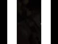 الحارة المحروسه