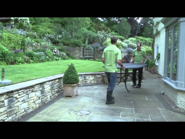 The Patio Black Spot Removal Company Ltd