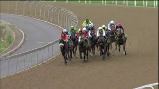 Vidéo de la course PMU PRIX HOLLYWOODBETS BRIGHT FUTURE FM 68 HANDICAP