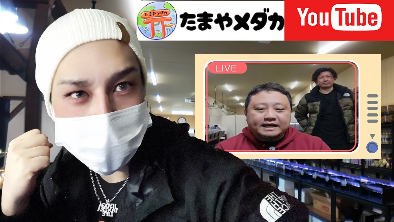 たまやメダカのライブオークション絶対に落札するまで競り合う完全公開！