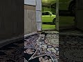 هیلتر این تازه یه حرکت کوچکی بود مواظب باش دوست Cat گربه دحمان Kitten Funny هیلتر این تازه یه حرکت کوچکی بود مواظب باش دوست Cat گربه دحمان Kitten Funny