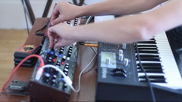 Behringer Model D & Behringer Neutron:Electro/Industrial Madness