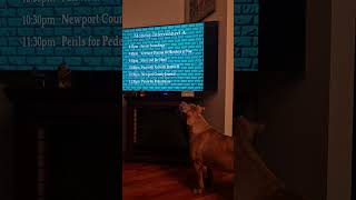 Rosie is watching PEG Access TV