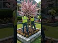 Building a Garden Bed That Actually Looks Good #diy #garden #landscaping