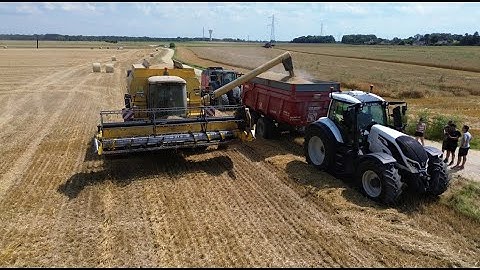 Moisson d'orge 2024 avec une NEW HOLLAND TX 65 plus et une CASE IH AXIAL 7250