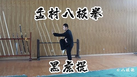 Knock from Downside【Martial Arts/Kung Fu】Baji Quan Tutorial Session 2 Single Moves  八极拳教学 单式 黑虎提