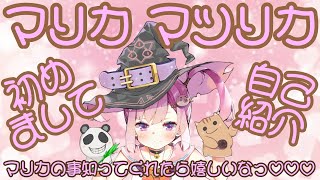 「【サイコ鳥頭魔法少女】自己紹介【新人Vtuber】」のサムネイル