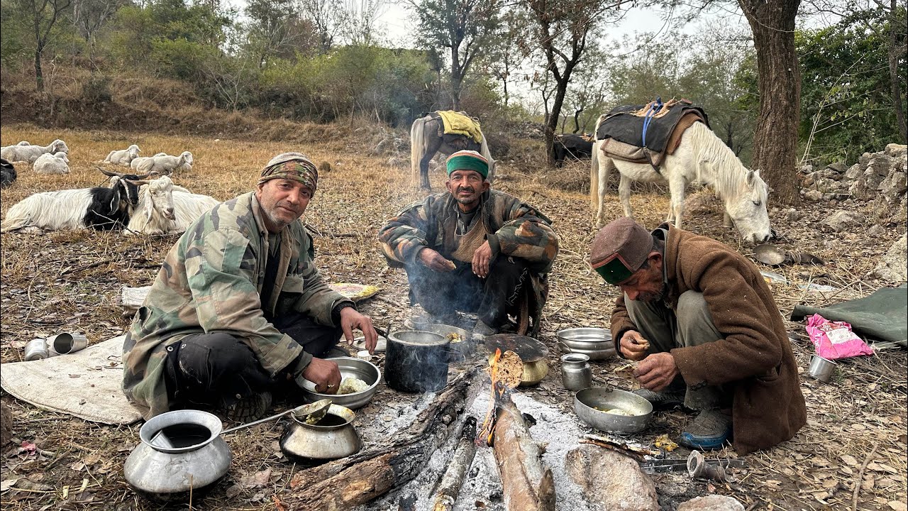 जंगल में चुल्हे की आग🔥पर बना देसी खाना | गद्दी भेड़पालकों की असली ज़िंदगी!Reality of Gaddi Shepherds