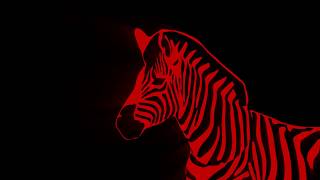 Red Zebra - I Can't Live In A Living Room (the 40th anniversary living room sessions)