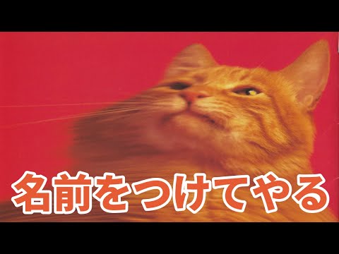 スピッツ – 名前をつけてやる | Releases | Discogs