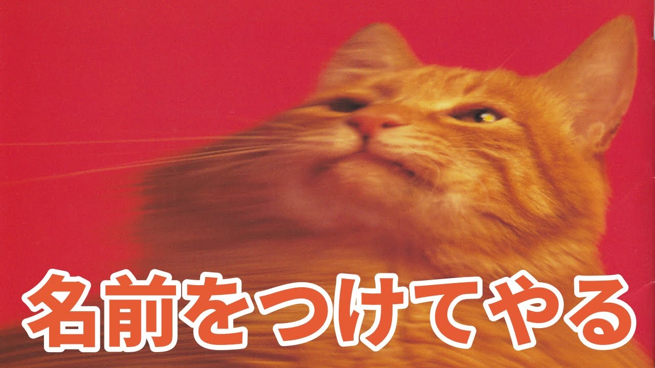 スピッツ　名前をつけてやる Amazon.co.jp: 名前をつけてやる - スピッツ: ミュージック