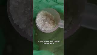 ¿Sabías que el sulfato de amonio, aunque parece azúcar, es un potente fertilizante para tus plantas? ¿Sabías que el sulfato de amonio, aunque parece azúcar, es un potente fertilizante para tus plantas?