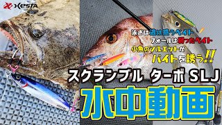 SCRAMBLE turboSLJ - XESTAゼスタ公式ウェブサイト