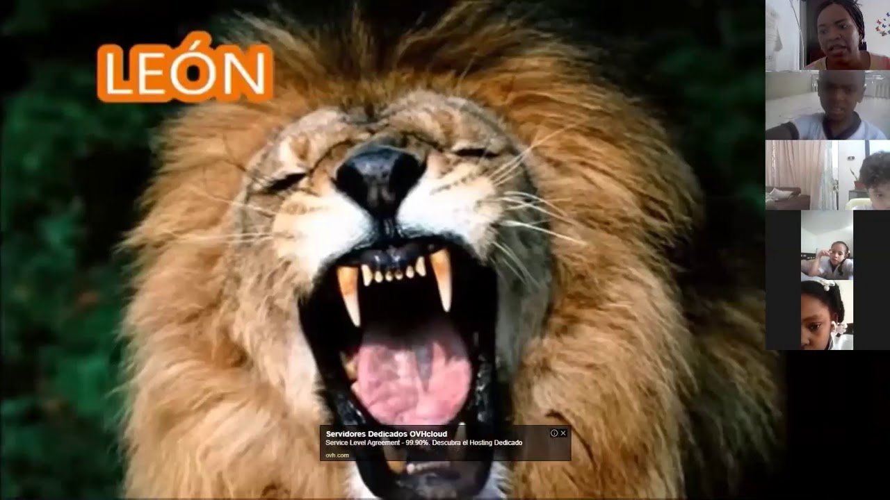 SANTIAGO DE CALI, 4 DE AGOSTO 2020
SEGUNDO
RETROALIMENTACIÓN DE CIENCIAS NATURALES