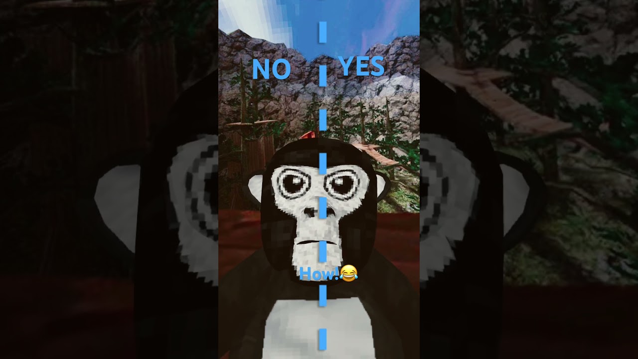 YouTube YouTube