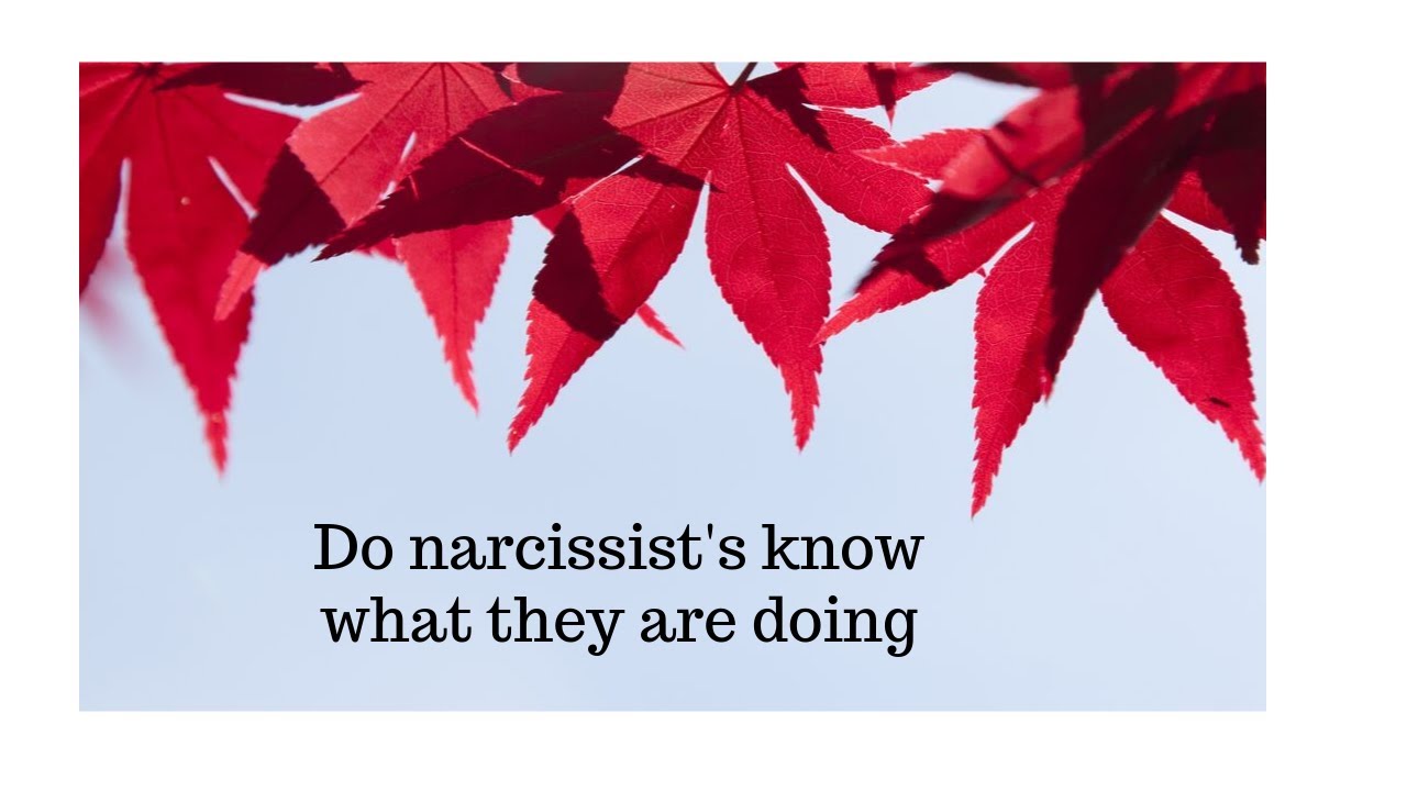 Do narcissists know what they are doing? - YouTube