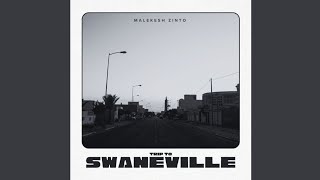 Malekesh Zinto - Trip To Swaneville