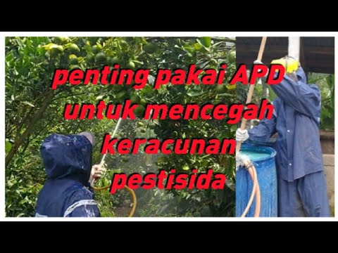 Video: Perlindungan Semprot Tanaman BioClay - Bagaimana BioClay Bekerja Untuk Melindungi Tanaman