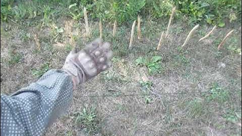 Fieldcraft- Halting Enemy Counterattack During An Ambush- Demonstration