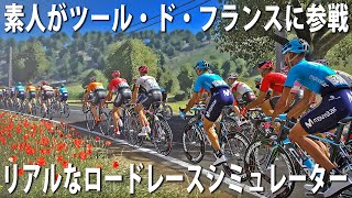 【Tour de France 2020】素人でもツール・ド・フランスに参戦できる最新のロードレースシミュレーター【アフロマスク】 screenshot 5