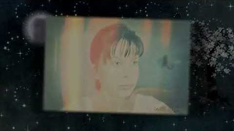 Free Style Proshow Producer #05