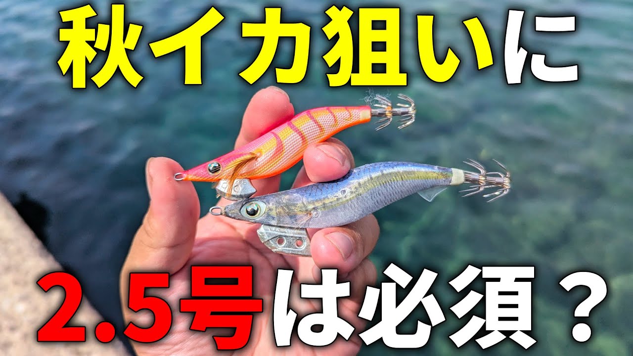 残り2組早い者勝ち　ヨーヅリ　秋イカ　新子イカ　エギ　3.0号　20本 I will explain the common pitfalls of squid squid fishing in