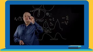 Chromatography Tutorial Series: The Basics of Preparative Chromatography - Part 2