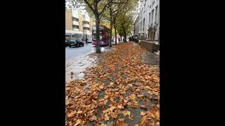 ما أجمل خريف لندن london automne