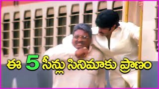 ఈ 5 సీన్లు సినిమాకు ప్రాణం - Top 5 Best Scenes in Samara Simha Reddy Movie | Balakrishna