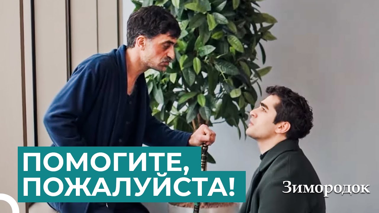 Самая Мучительная Форма Беспомощности | Зимородок