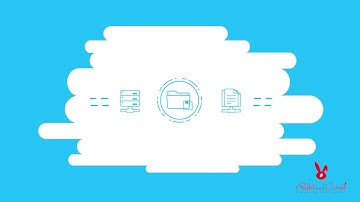 Infographic Explainer Video - Rabbit And Carrot