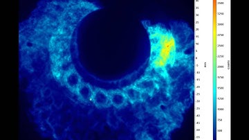 Annular Combustor Ignition