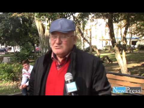 გამოკითხვა