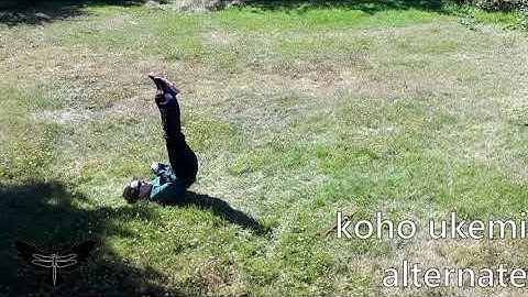 Koho Ukemi: Taihenjutsu Basics